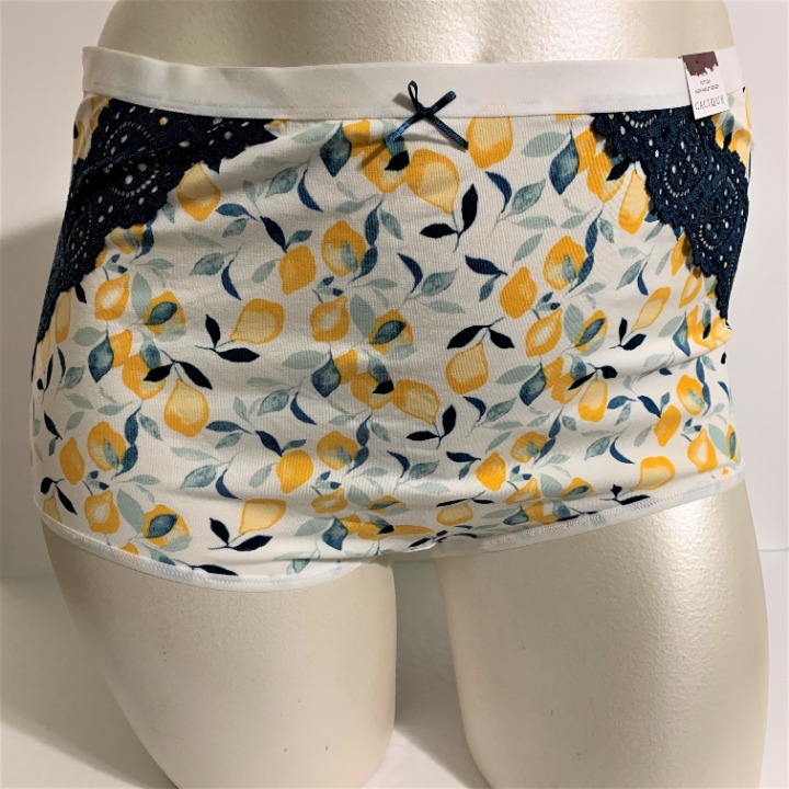 NWT LANE BRYANT CACIQUE COTTON HIPSTER PANTIES 26/28 WINE LACE BACK PANTY PLUS NWT LANE BRYANT CACIQUE COTTON HIPSTER PANTIES 26/28 WINE LACE BACK PANTY PLUS