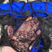 Sexy Blue Lace Teddy with Black Lace Overlay Lingerie
