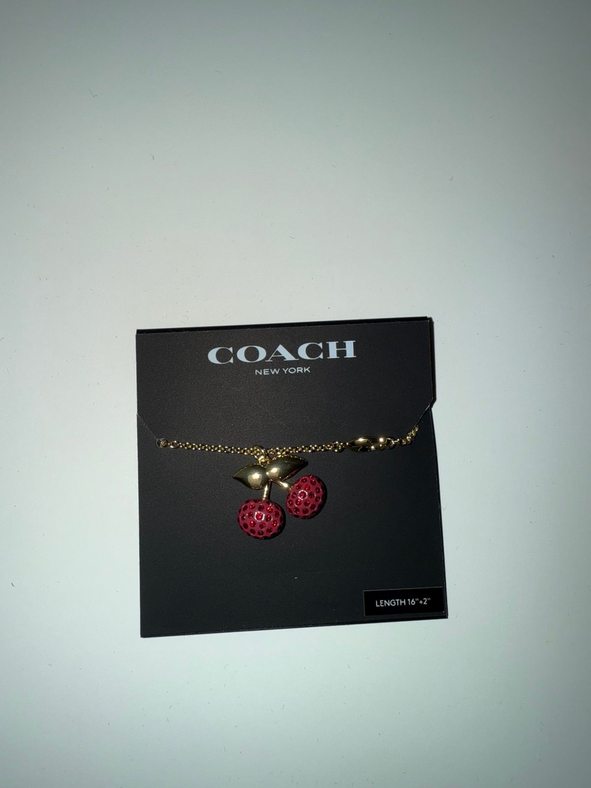 Brand new coach cherry necklace