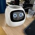 Smart Plant Pot for Indoor Plants