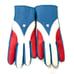 Vintage 1970s Van Raalte Red White and Blue Star Detail Vinyl Gloves