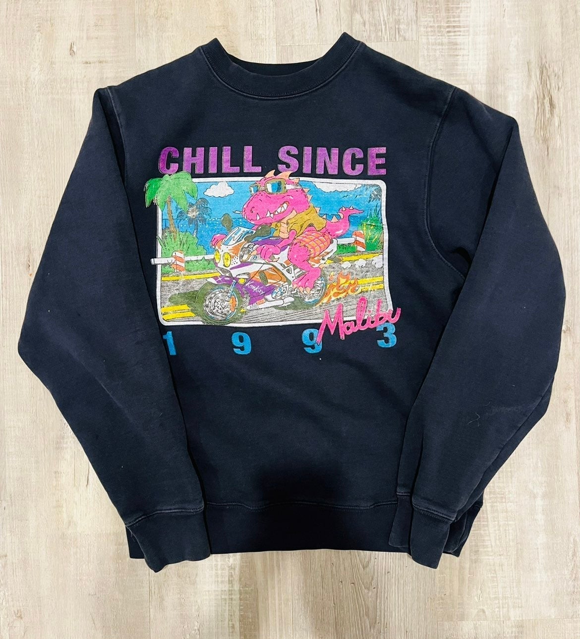 Chill since shop 1993 sweatshirt