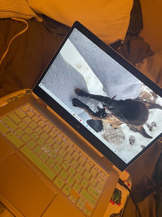 Laptop