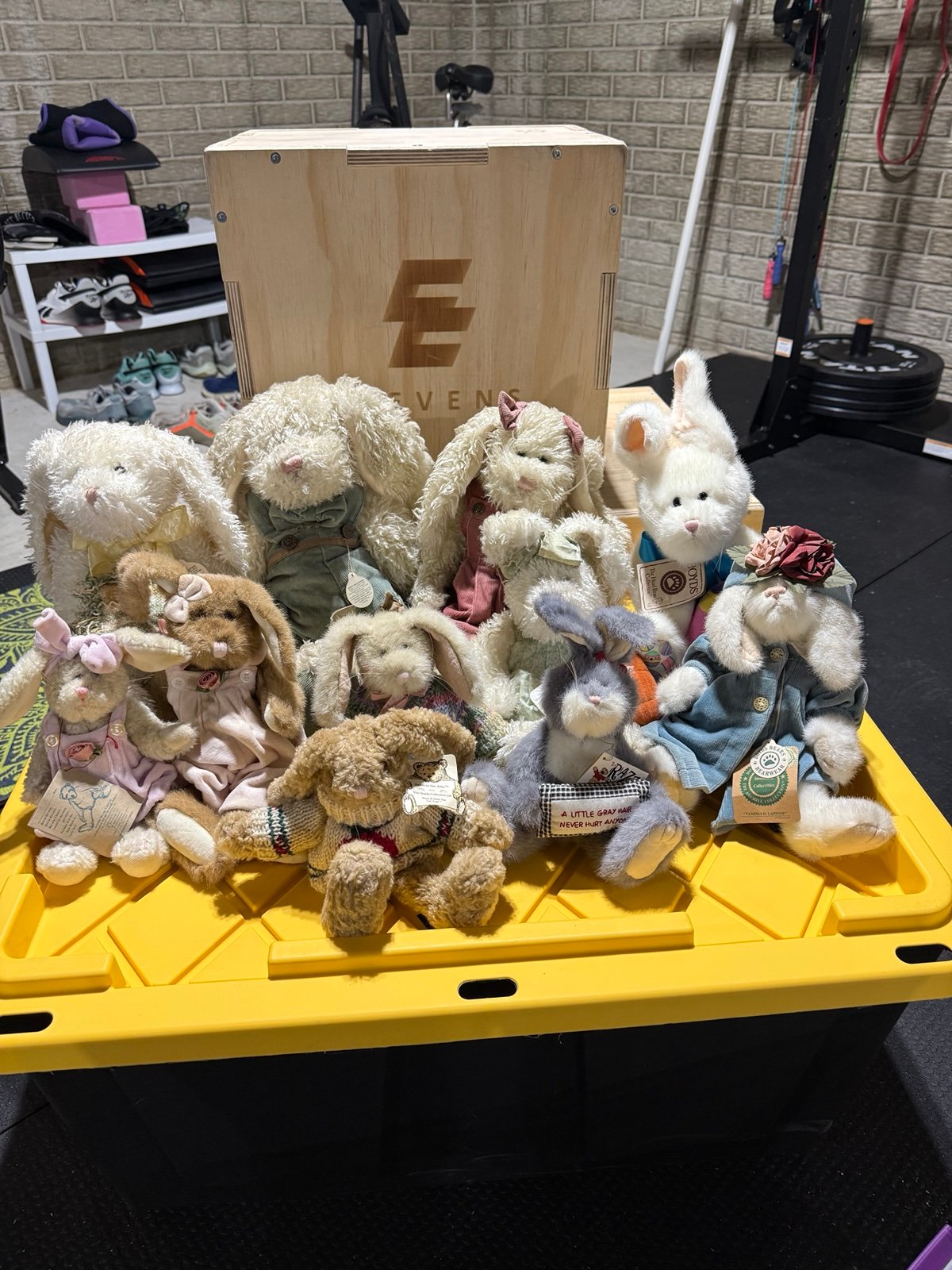 Boyd’s Bears