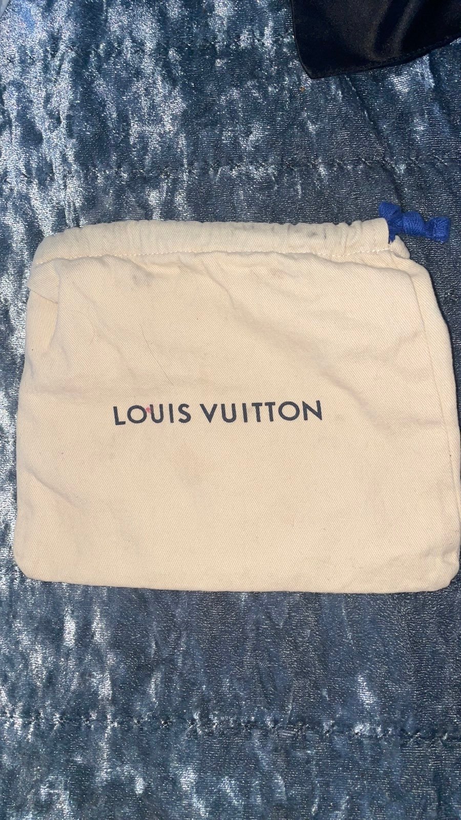 Louis Vuitton dustbag bags