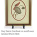 Ray Harm print