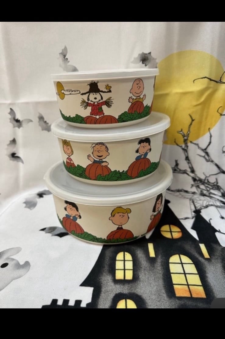 Peanuts Snoopy Fall Bamboo Food Containers
