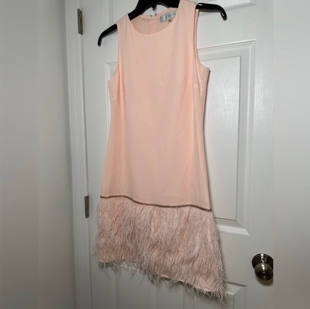 Tahari Blush Pink Feather Trim and Rhinestone Dress