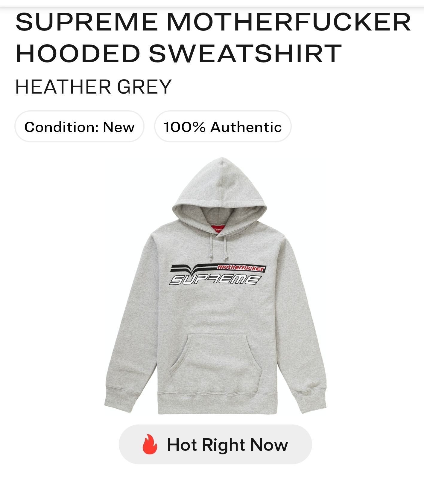 RARE 2019 SUPREME MOTHER HOODIE DS SM