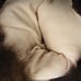 VTG 1980 Brown Moose Country Critters Hand Puppet Plush Stuffed Toy 20 USA MADE