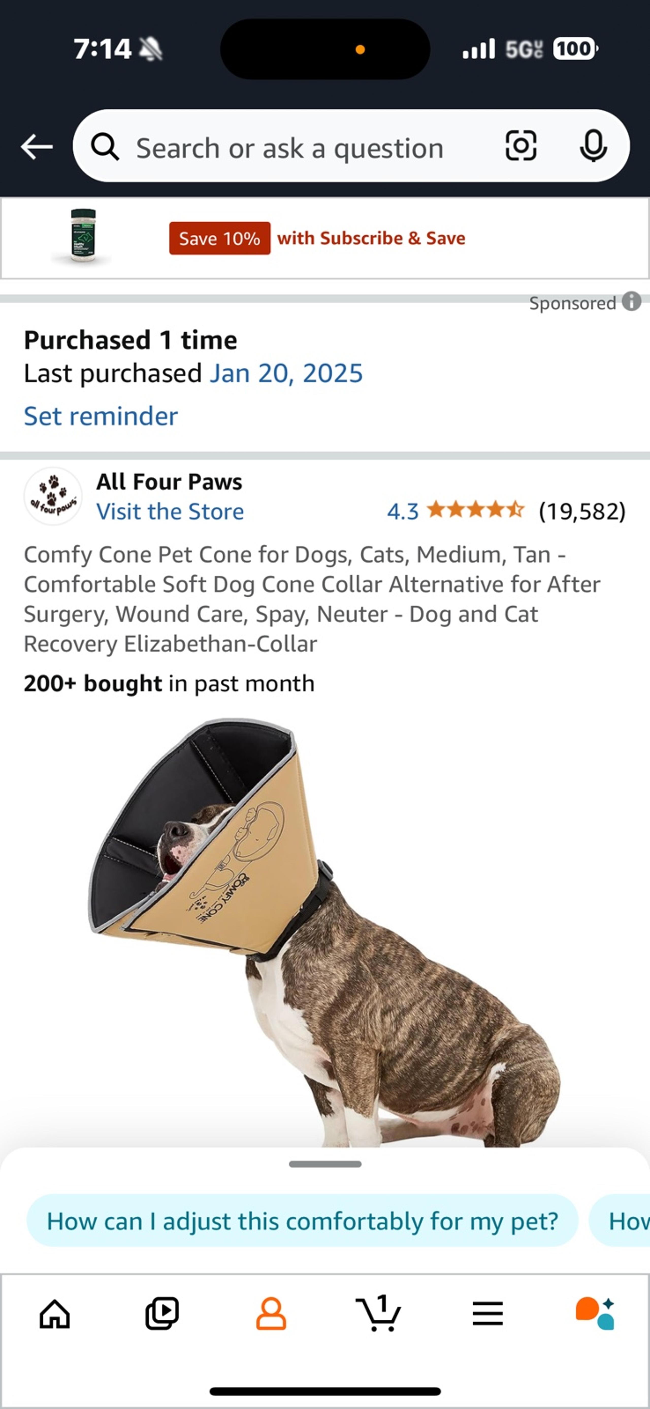 Comfy Cone- M 8inc neck to nose