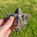 Merkaba- Crystal Merkaba- Zebra Jasper -