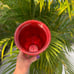Starbucks Tumbler - Red - Jeweled - Holiday 2021 - Venti 24oz - (Two)