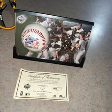 New York Yankees Baseball New
