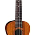 Concert Mahogany Ukulele with Gig Bag