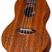 Concert Mahogany Ukulele with Gig Bag
