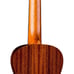 Concert Mahogany Ukulele with Gig Bag