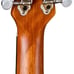 Concert Mahogany Ukulele with Gig Bag