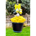 Sanrio Chococat Fries Squishy Keychain Bag Purse Charm