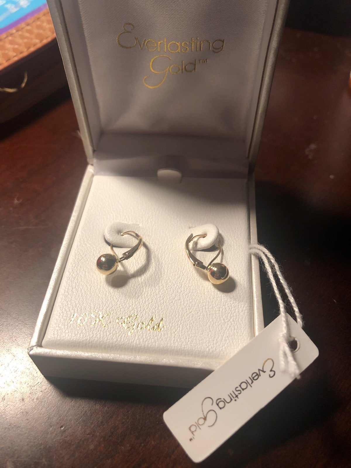 Everlasting Gold 10k Gold Earrings