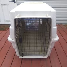 Big Dog Travel Kennel