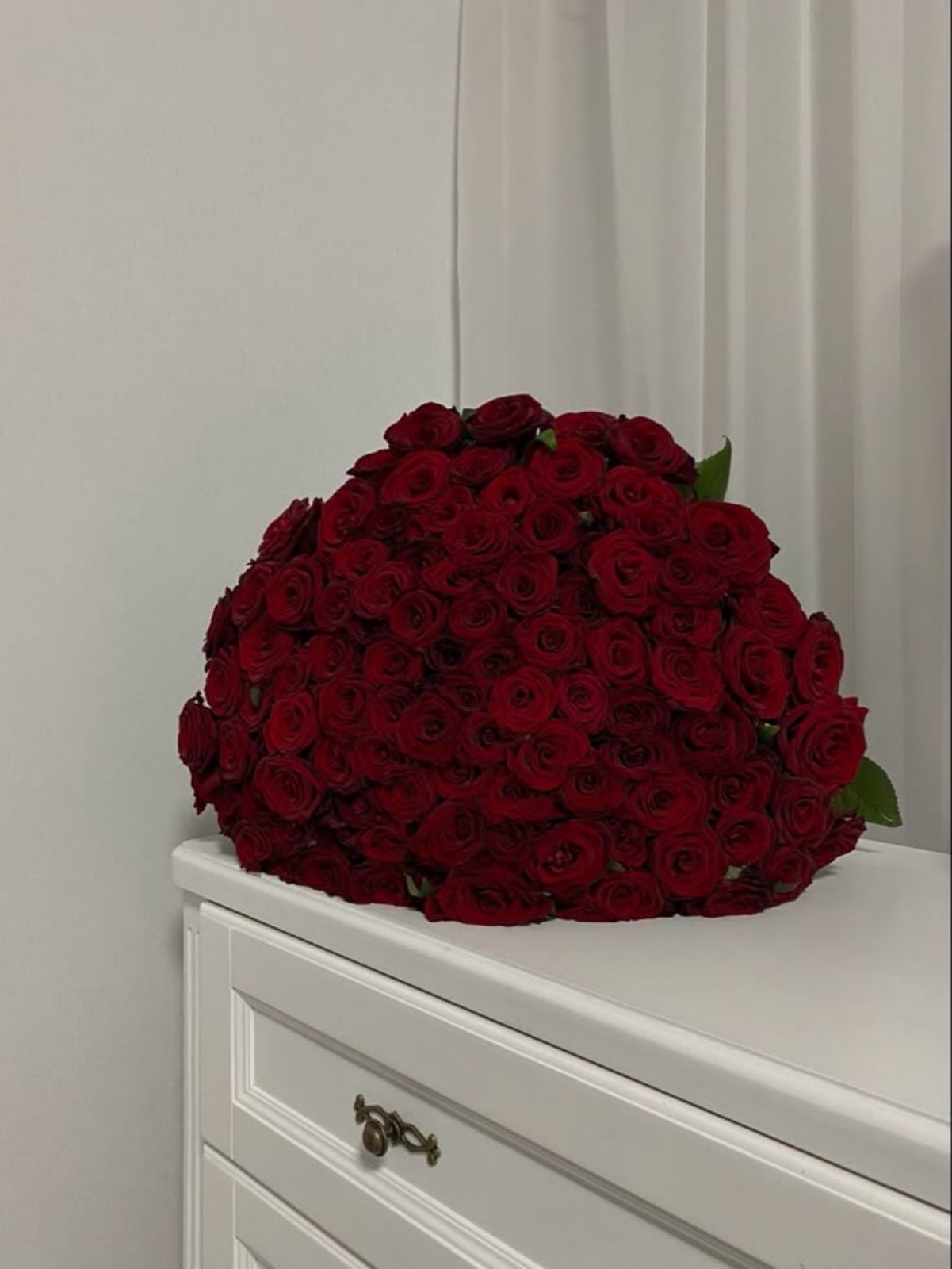 Red Velvet roses