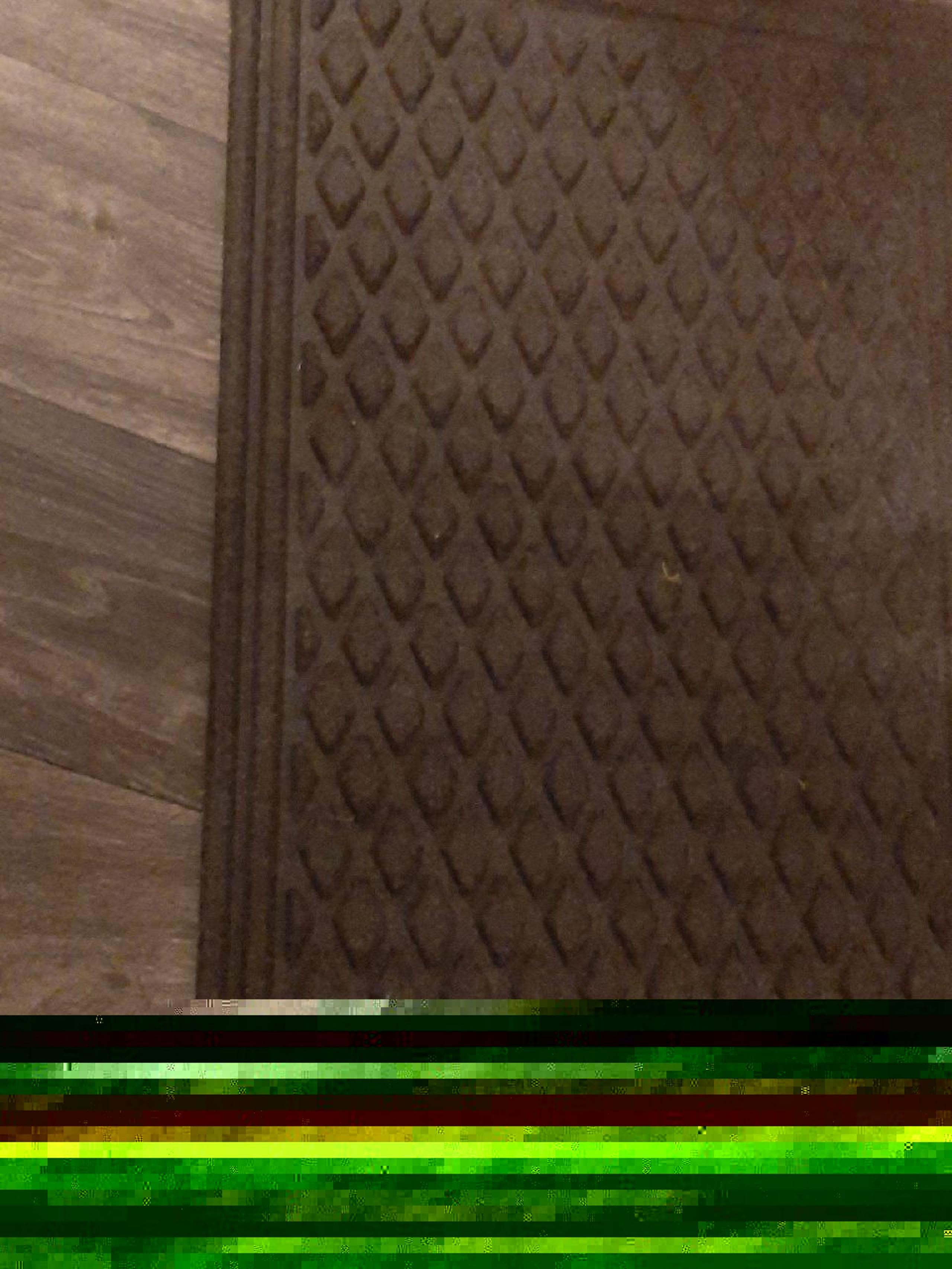 door mat
