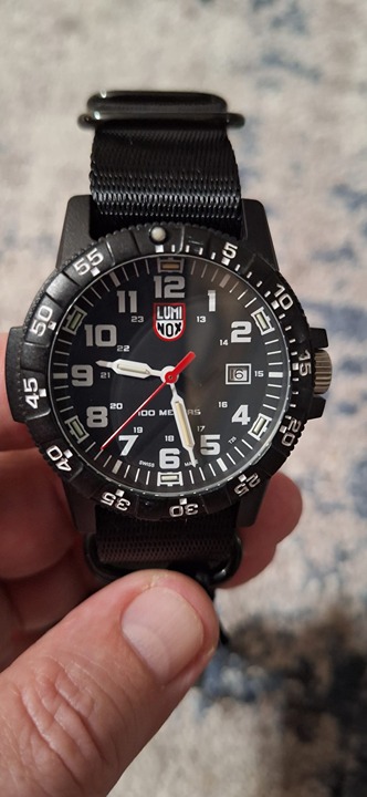 Luminox Leatherback Sea Turtle Giant