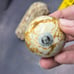 Natural Agate Healing Sphere Mineral Specimens On Rough Agate Stone Base