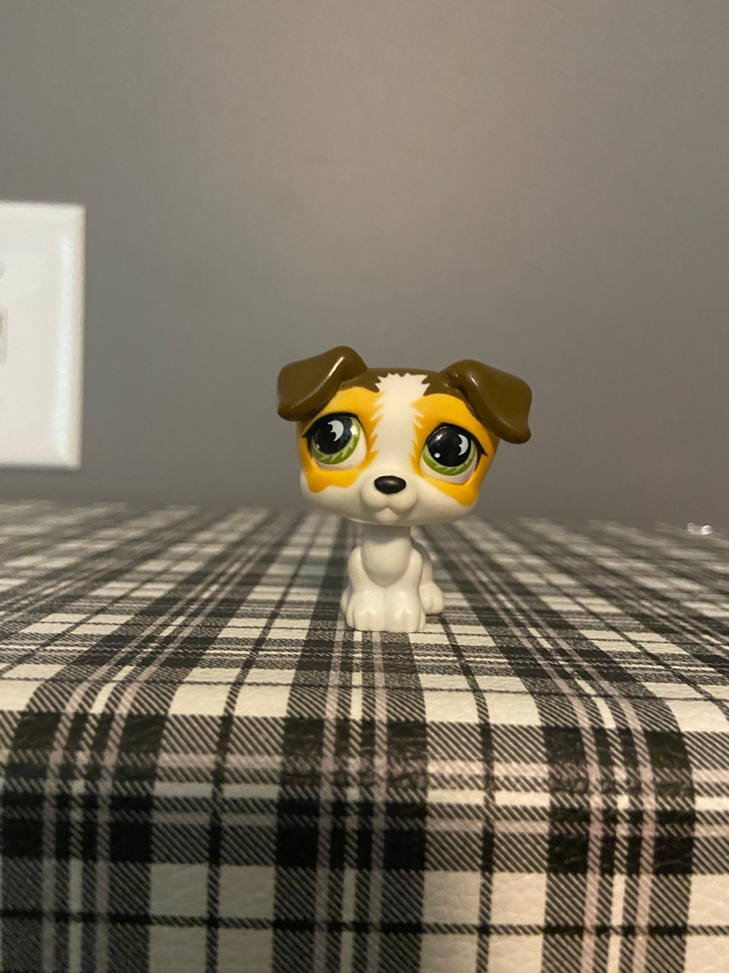 Littlest pet shop #804 brown and white Jack Russel