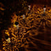Go2garden 6 Pcs Garden Solar Lights Outdoor Stakes Decorative Lighting for Yard
