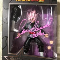 Sean Schemmel Signed Goku Black Figure