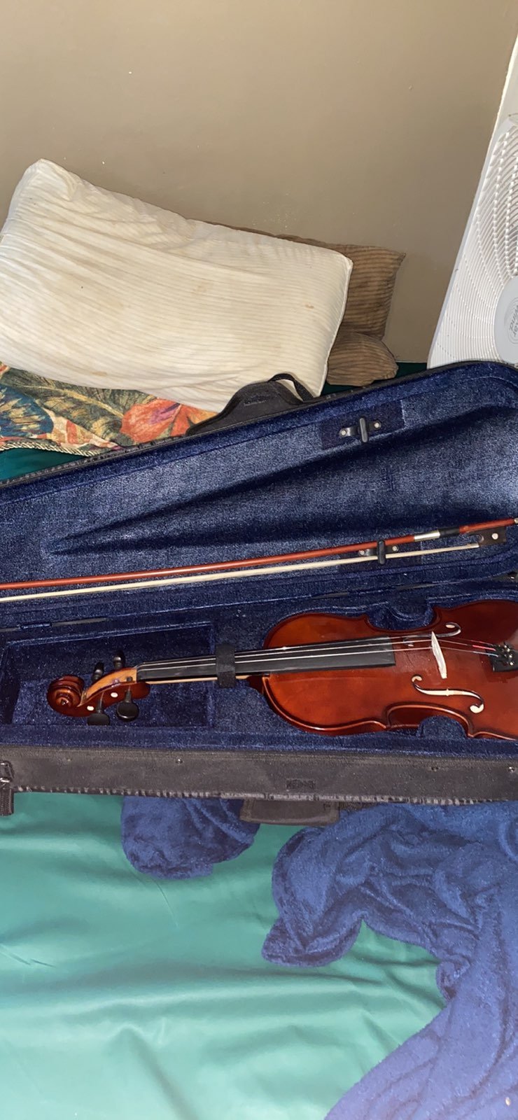 violin