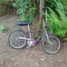 Vintage bicycle