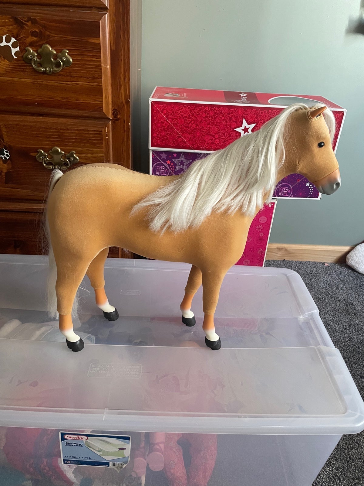 Large horse American girl