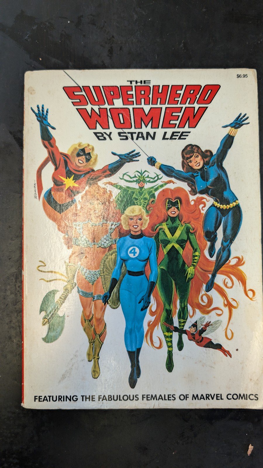 The Superhero Women by Stan lee