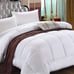 1pc Comfortable And Warm Duvet Down Comforter KING-EB36S