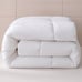1pc Comfortable And Warm Duvet Down Comforter KING-EB36S
