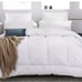 1pc Comfortable And Warm Duvet Down Comforter KING-EB36S