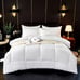 1pc Comfortable And Warm Duvet Down Comforter KING-EB36S
