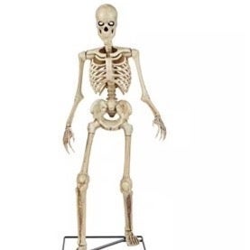 3 ft. LED Skeleton   Home depo skelly