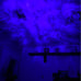 Skylight projector