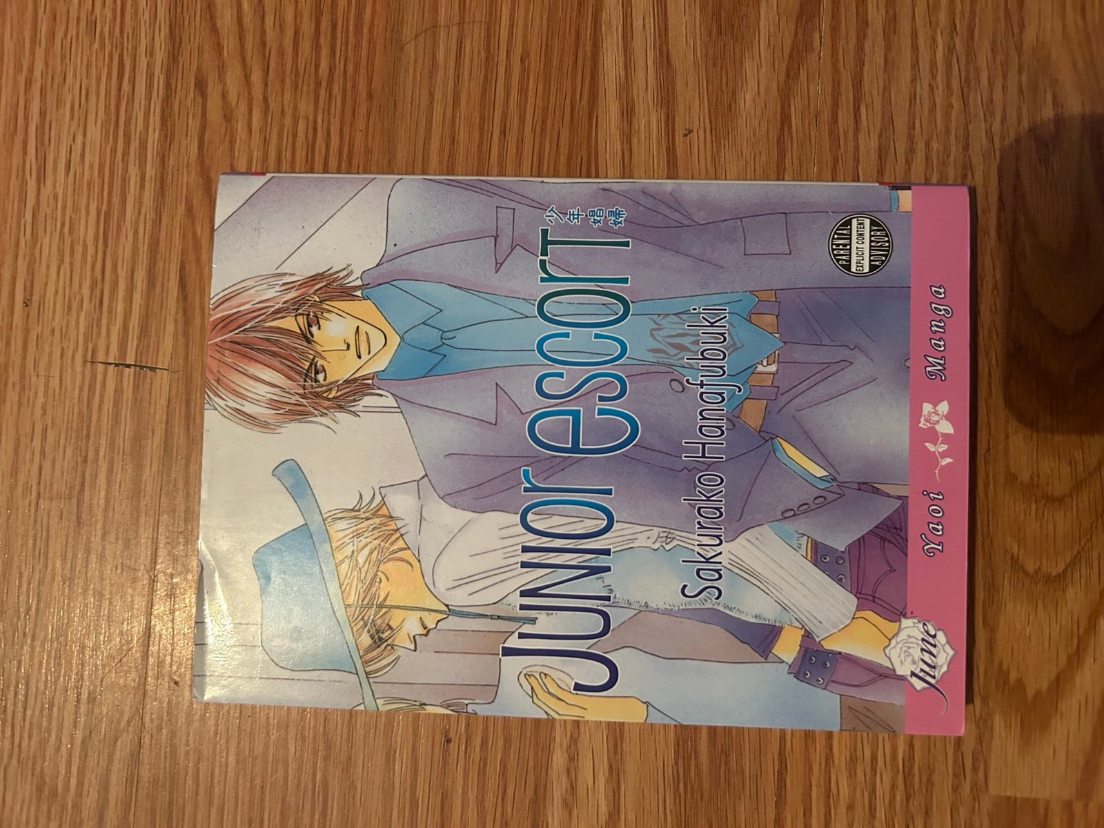 Yaoi manga