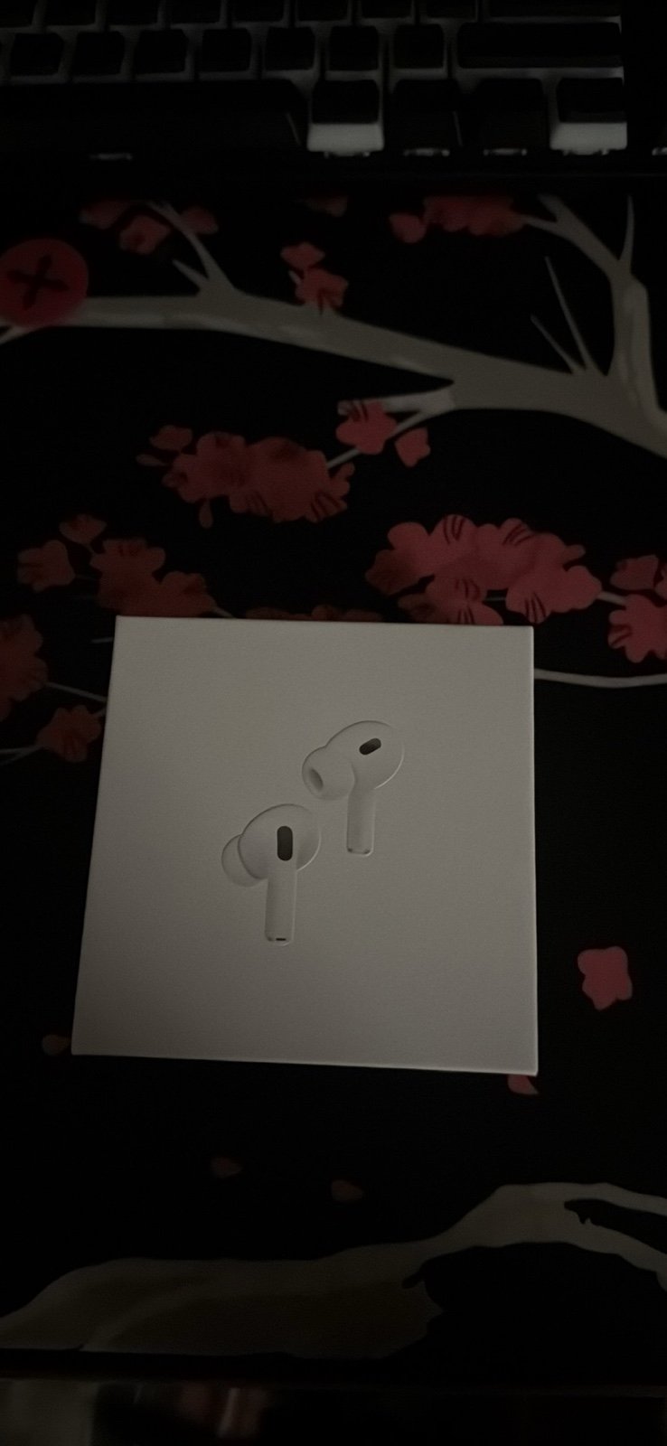 AirPod pro 2