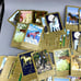 Bundle lot of Bella Sara 160+ Common Cards 2nd Edition / More