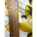 New Lane Bryant Lemon Print Shorts size 28 White/Yellow