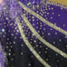 NWT Figure skating dress
