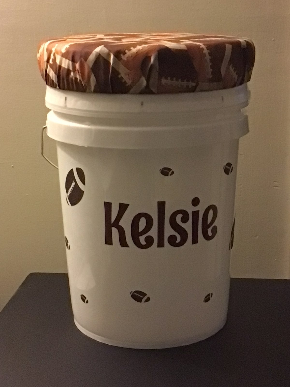 5 Gallon Bucket with a Cushion Lid