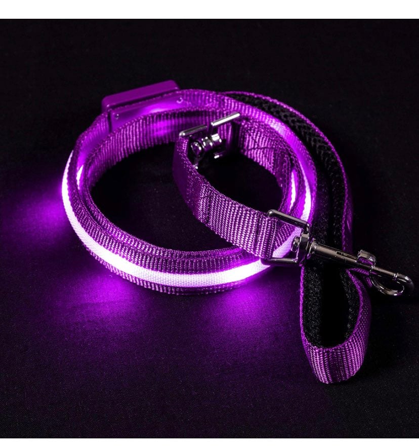 PURPLE LED Dog Leash - USB Rechargeable