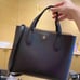 Tory Burch Blake Small Casual Crossbody Tote Bag